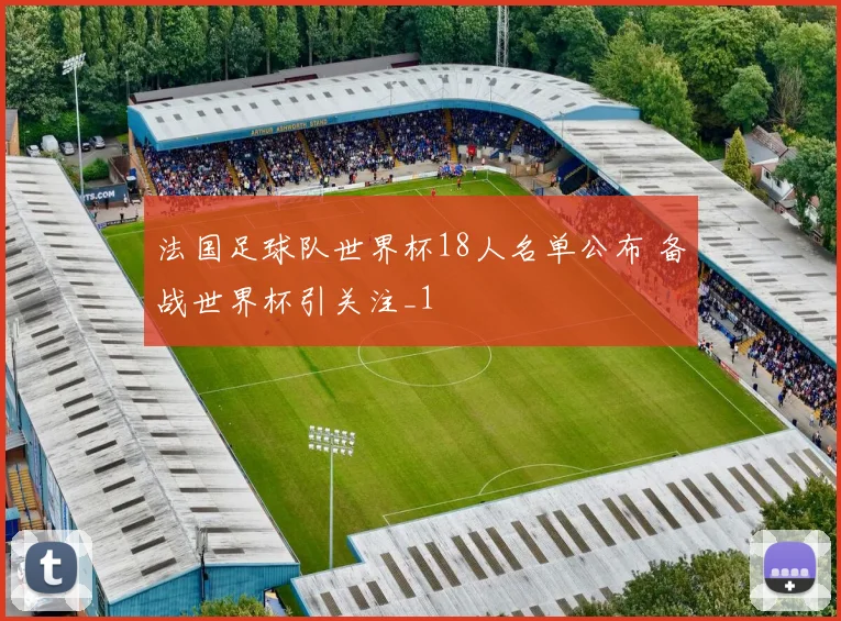 法国足球队世界杯18人名单公布 备战世界杯引关注_1