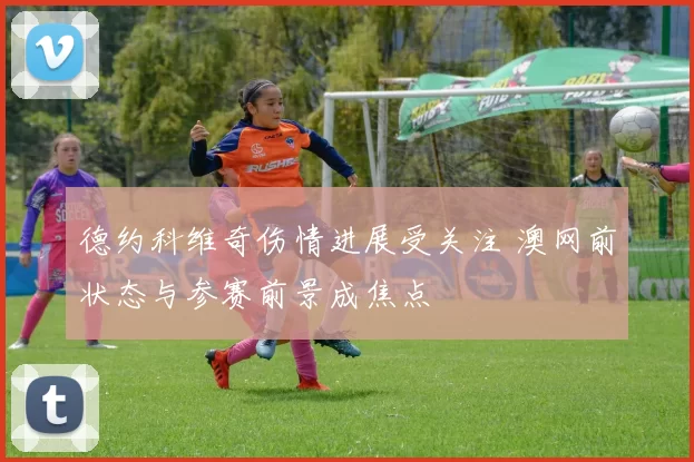 德约科维奇伤情进展受关注 澳网前状态与参赛前景成焦点